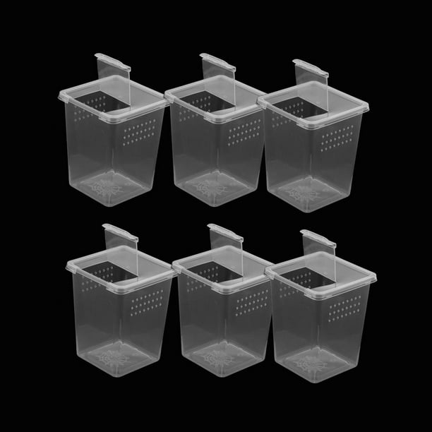 Caja de plástico para alimentación de insectos, ranas y arañas, contenedor para tanque, 6, 8 y 10 unidades 6 piezas