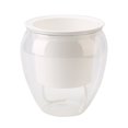 thumbnail image 1 of ruhuadgb Flowerpot Self Watering Practical Plastic Transparent Plant Pot for Home,Large, 1 of 8