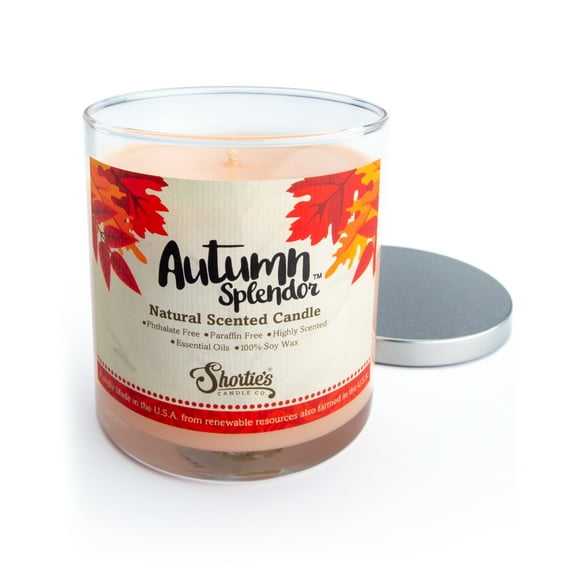 Autumn Splendor Scented Natural Soy Candle, Essential Fragrance Oils, 100% Soy, Phthalate & Paraben Free, Clean Burning, 9 Oz.