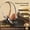Brown, variant on Retro Over Ear Wireless Headphones Bluetooth 5.4 ENC Call Noise Reduction HIFI Stereo Lightweight For Small Head Design
