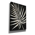 thumbnail image 2 of Epic Graffiti 'Palm Frond Wood Grain IV' by Cindy Jacobs, Canvas Wall Art, 18"x26", 2 of 2