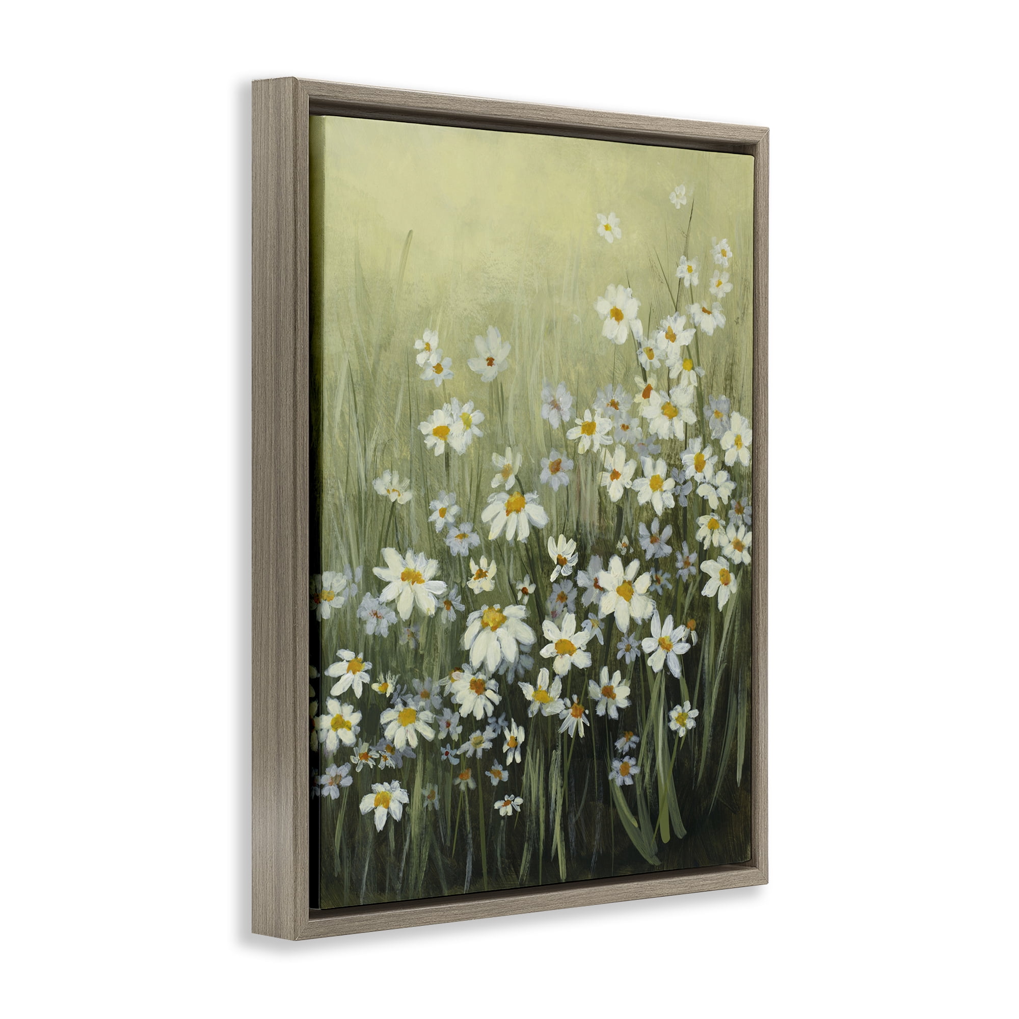 Stupell Industries Daisy Field Garden Plants & Flowers Painting Brown Floater Framed Canvas Art Print Wall Art, 17 x 21