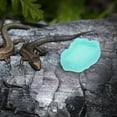 thumbnail image 4 of unbranded Comedero Y Bebedero De Resina Para Reptiles Antivuelco Color, 4 of 8