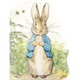 thumbnail image 2 of Pre-Owned Peter Rabbit Paperback, 2 of 2