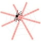 thumbnail image 3 of Iluminación LED de tela de araña de Halloween, decoración de 12 pies, interior y exterior, fiesta de jardín, araña, 120 cuentas de luz, naranja, 3 of 4