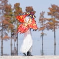 thumbnail image 7 of Mint's Colorful Life Red Goldfish Kite Easy to Fly, Polyester Material, 7 of 7