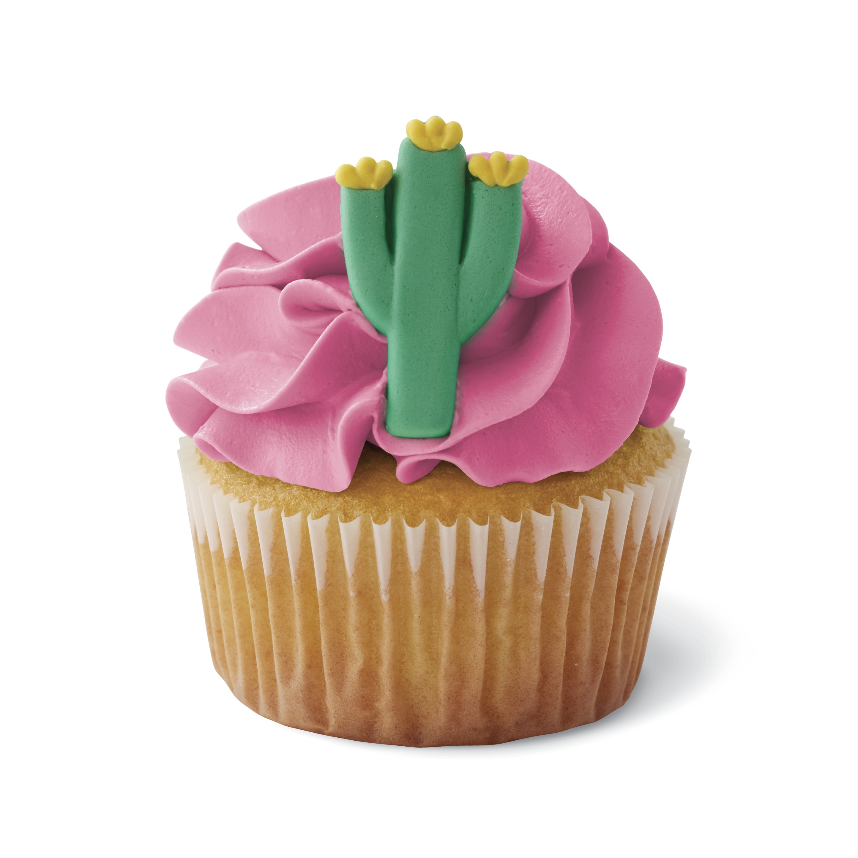 Wilton Cactus And Llama Icing Decorations 12 Count Walmart Com