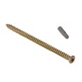 thumbnail image 1 of Forgefix Concrete Frame Screws, High-low Thread, 1 of 2
