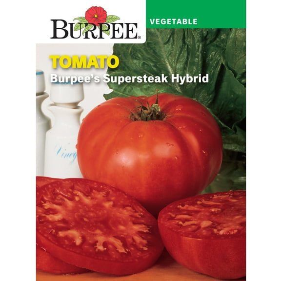Burpee Burpee's Supersteak Hybrid Tomato, Annual Vegetable Seed, Full Sun