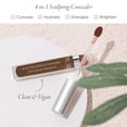 thumbnail image 4 of PUR Minerals Push Up 4 in 1 Sculpting Concealer 3.76g DPN1, 4 of 5