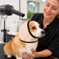 thumbnail image 2 of Dog Calming Hoodie - No Shake Ear Wraps for Dogs, Anxiety Relief & Noise Protection, Water Resistant Pet Ear Cover Muffs for Firework, Grooming, Thunderstorms, Swimming, Bathing, 2 of 4