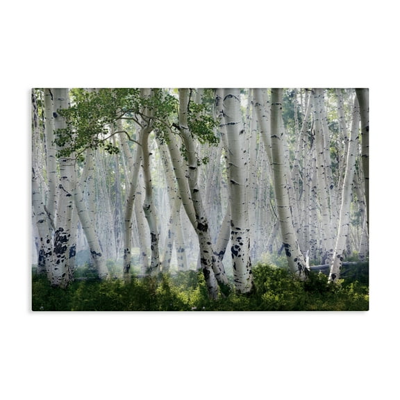 Stupell Industries Up In The Clouds Canvas Wall Art design by Mike Jones, 16 x 24