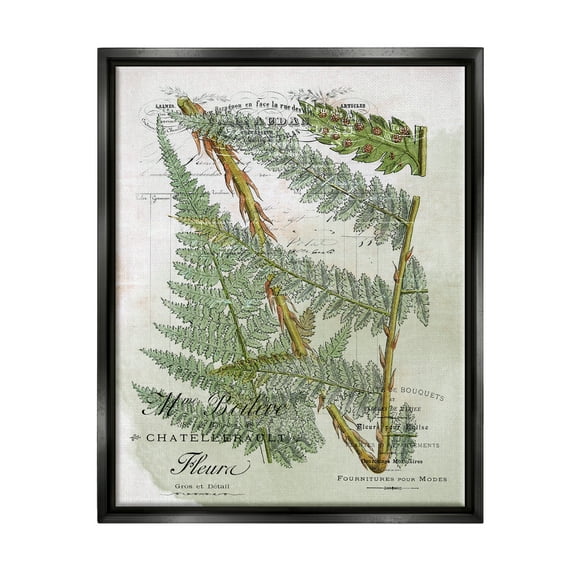 Stupell Vintage Vegetation Various Ferns Botanical & Floral Painting Black Floater Framed Art Print Wall Art
