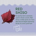 thumbnail image 3 of Moshi Yuzu Sparkling Drink - Red S Apple, 3 of 5