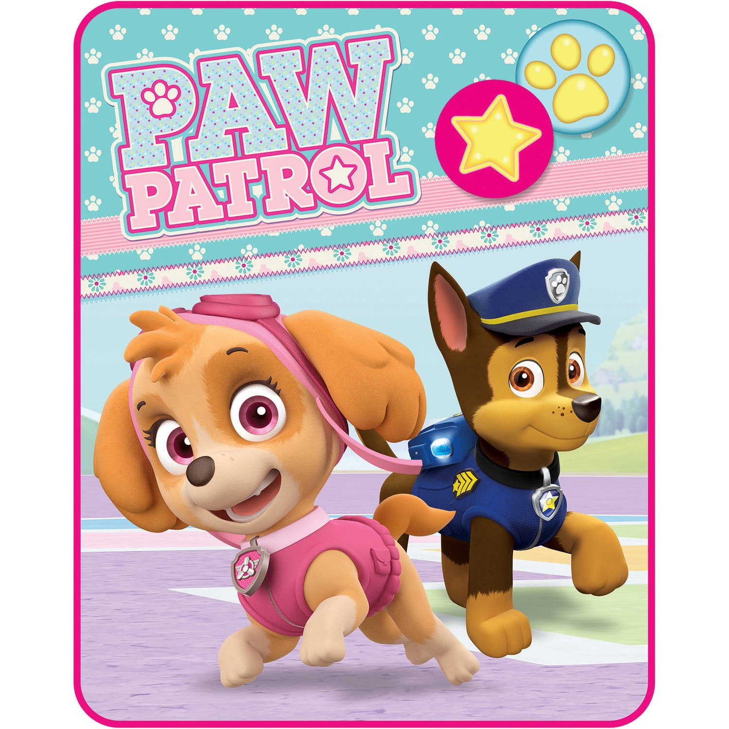 sky chase paw patrol