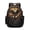 Eagle Cross Fire, variant on Xoenoiee Wolf Camo American Flag Print Backpacks School Bag for Boys Large Capacity Bookbag Shoulder Bags Kids Back to School Gift Travel Daypack Satchel Rucksack with Side Pockets