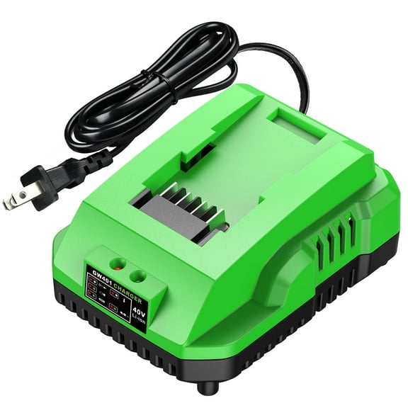 Abeden 40v Battery Charger replacement for Greenworks Battery Charger 29482 29462 29472 2901319 2938302