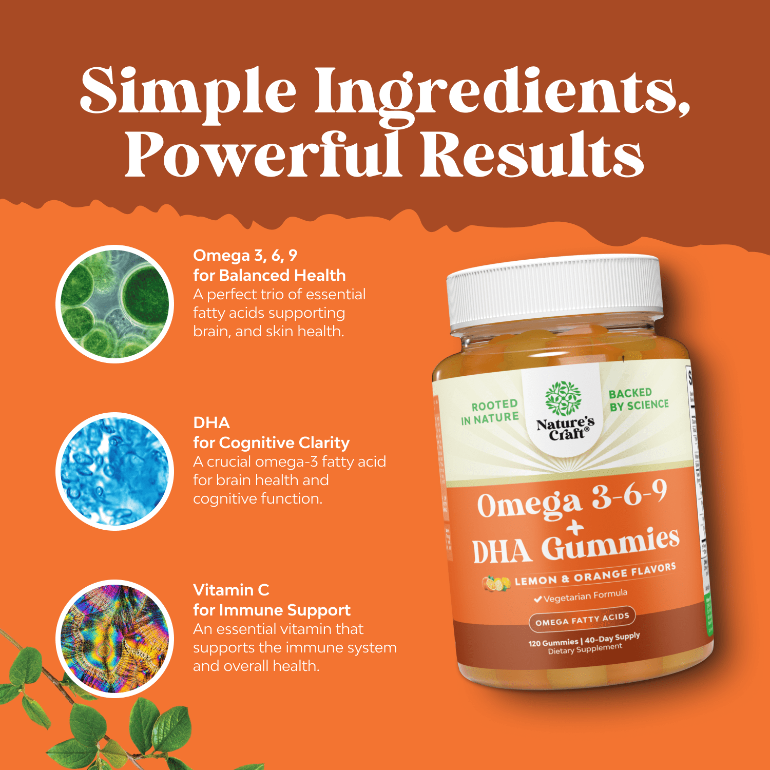 Natures Craft Omega 3 Gummies Plant-Based 3 6 9 DHA – Lemon & Orange Flavors, 120 Count