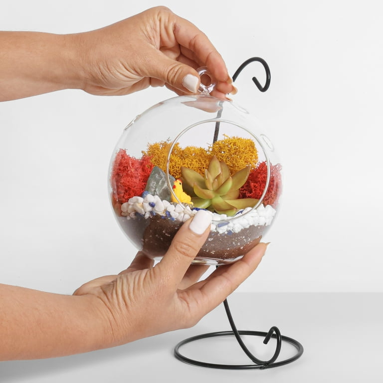 Creations by Nathalie DIY Terrarium Kit: Mini-Ecosystem with Glass Globe, Moss, Crystals & Rocks - Easy Assembly - Ideal Nature Lover Gift - No Plant