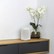 Yamaha WX-021 MusicCast 20 Wireless Speaker (white)