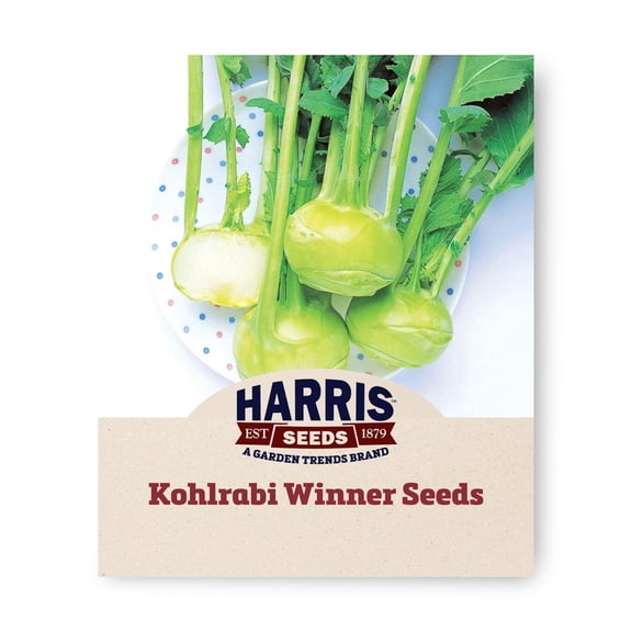 Harris Seeds Winner Kohlrabi, Non-GMO Green Bulb Variety for Garden Growing, 50 Count