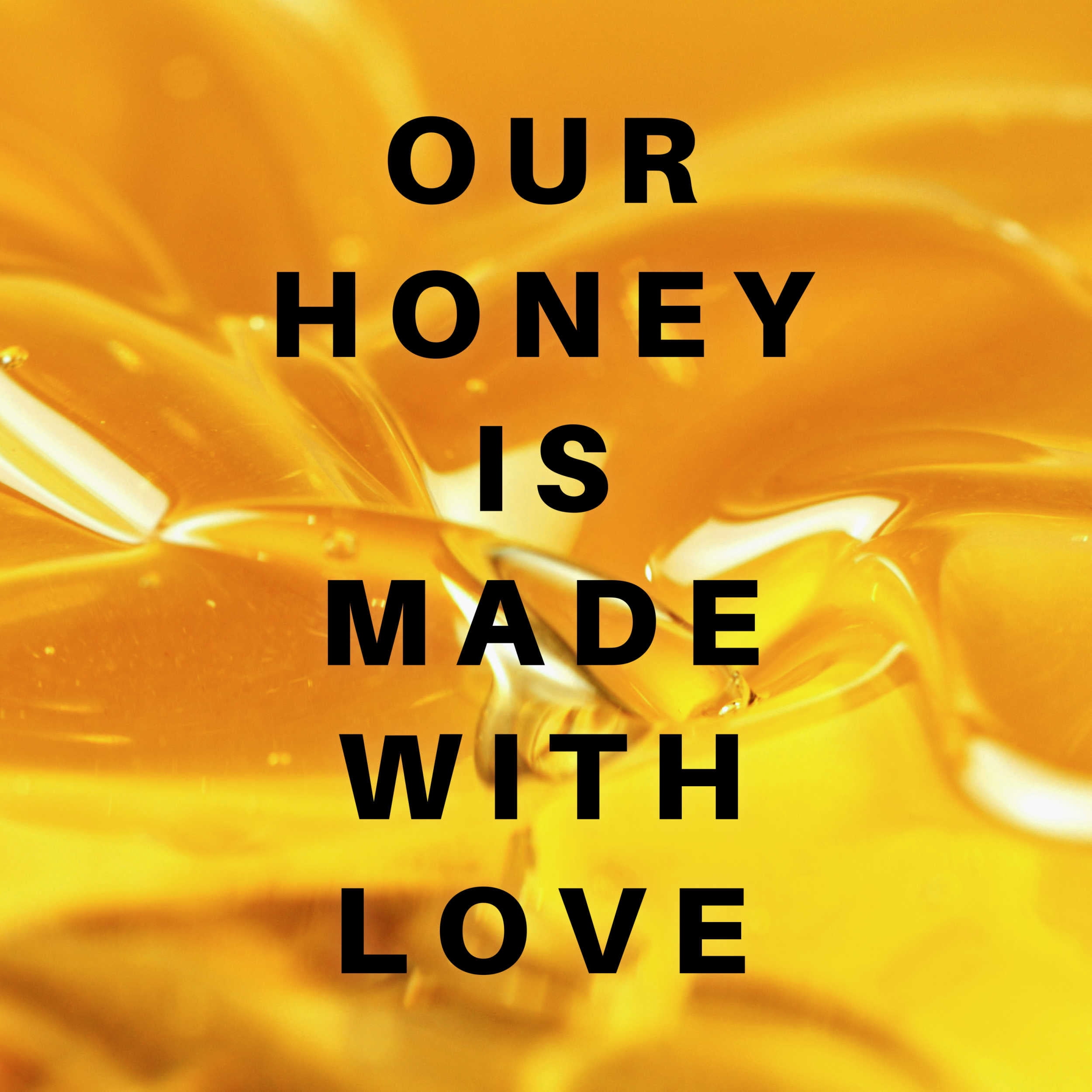 HoneyPlusCo | Mini Honey Gift Jar (24 Pcs)