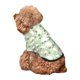 thumbnail image 5 of Balery Cute Frog Sudadera con Capucha para Perros Pequeños – Ropa para Mascotas, Disfraz para Perros y Gatos, Ideal para Fiestas y Cosplay-Medium, 5 of 7