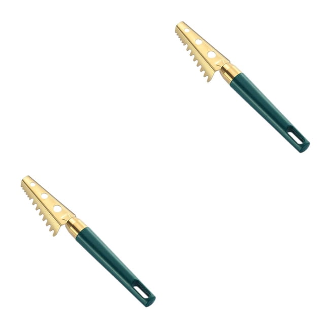 Billuyoard Escamador de pescado, cepillo, removedor de escamas, raspador de limpieza de mariscos, descalcificador de alimentos de cocina, herramientas de Type2 NO2 Billuyoard CBP192072