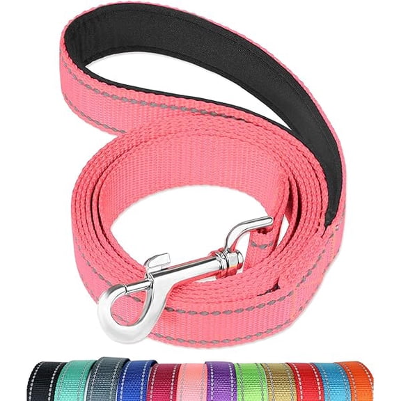 Eryueer 4FT Reflective Dog Leash with Soft Padded Handle for Training,Walking Lead for Medium & Small Dogs,3/4 Inch Wide,Neon Pink