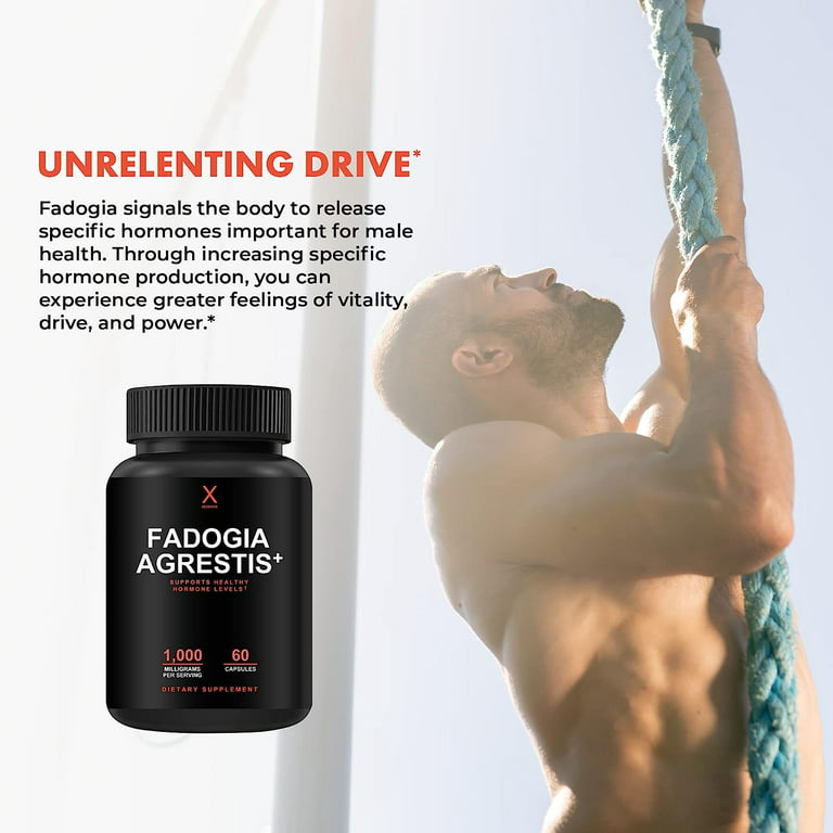 Tongkat & Fadogia Supplement - Vitality & Energy Booster – Momentous