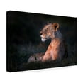 thumbnail image 4 of Xavier Ortega 'Lone Lioness' Canvas Art, 4 of 4