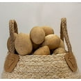 thumbnail image 6 of Dried Egg Gourds for Crafting box of 50, 6 of 7
