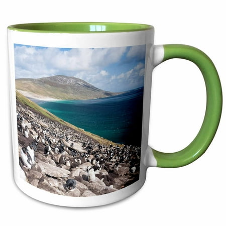 

3dRose Rockhopper penguin rookery Falkland Islands - Two Tone Green Mug 11-ounce
