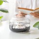 thumbnail image 3 of Piedras decorativas de vidrio T4U, 450 g, para acuario, 3 of 8