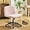 Pink, variant on SKTPI Criss Cross Legged Chair,Wide Comfy Office Desk Chair,Swivel Armless Vanity Boucle Chair for Study,Make Up,Home Office,Teddy Fleece,Dark Grey