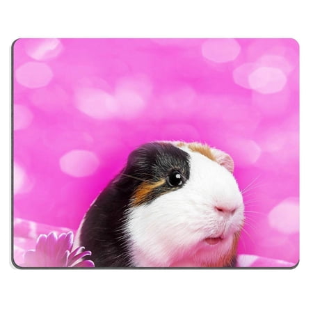 POPCreation cute guinea pig with and flower pink Mouse pads Gaming Mouse Pad 9.84x7.87 inches