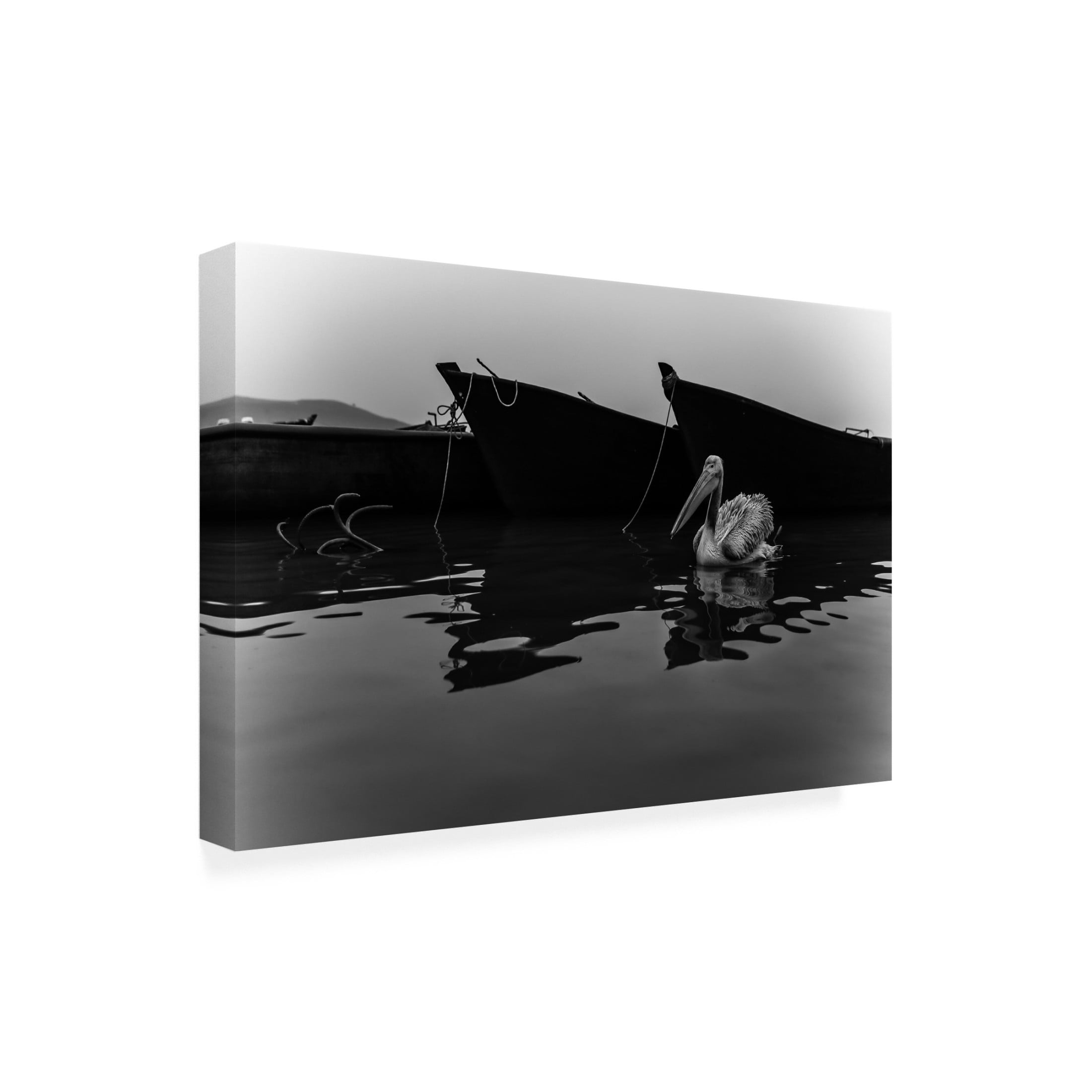 Trademark Fine Art Ummu Nisan Kandilcioglu Lake Diary 2 Canvas Wall Art