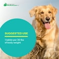 thumbnail image 6 of American BioSciences DGP Joint Supplement for Dogs - Joint Support with Turmeric, Boswellia Extract & More - Quick Effect for Immediate Mobility Support - 60 All-Natural Chewable Pet Tablets (2 Pack), 6 of 7