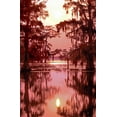 thumbnail image 2 of Welling, Dave 11x14 Gold Ornate Wood Framed with Double Matting Museum Art Print Titled - Louisiana Sunset on a Atchafalaya Basin bayou, 2 of 4