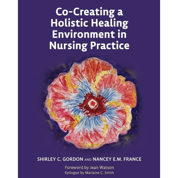 Co-Creating a Holistic Healing Environment in Nursing Practice, (Paperback)