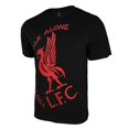 thumbnail image 1 of Liverpool - Black Youth Poly Cotton T-Shirt, 1 of 1