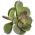 thumbnail image 4 of Nearly Natural 5in. Echeveria Succulent Artificial Plant (Set of 12), Green/Burgundy, 4 of 5