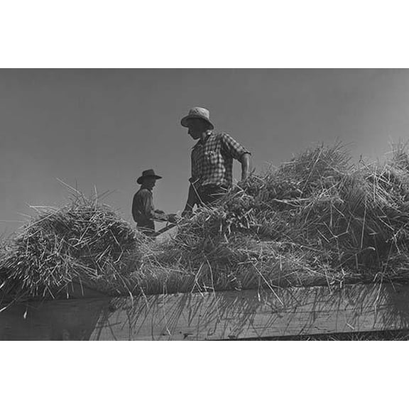Threshing, midsummer noon.- Fine Art Canvas Print (20" x 30")