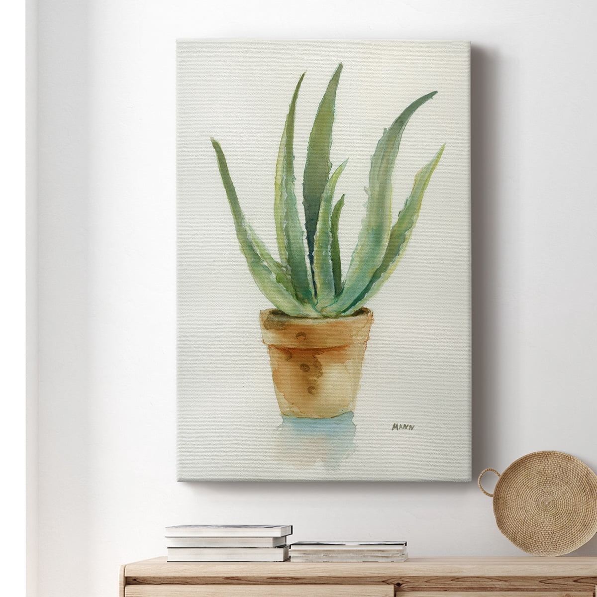 Succulent IV Premium Gallery Wrapped Canvas - Ready to Hang