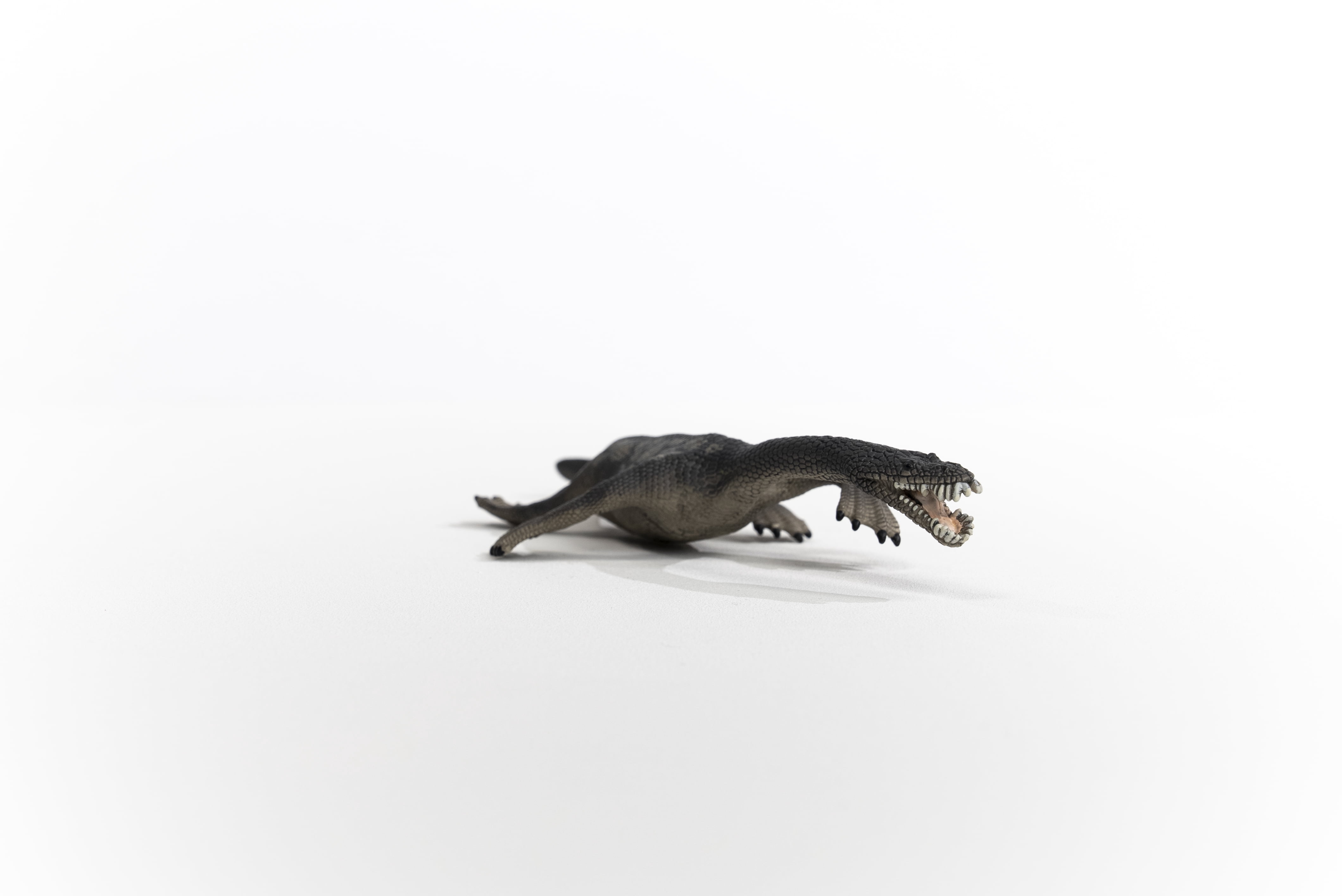 Schleich Dinosaurs - Large Dinosaur Toys for Boys and Girls- Realistic Nothosaurus Toy Figurine- Ages 4+