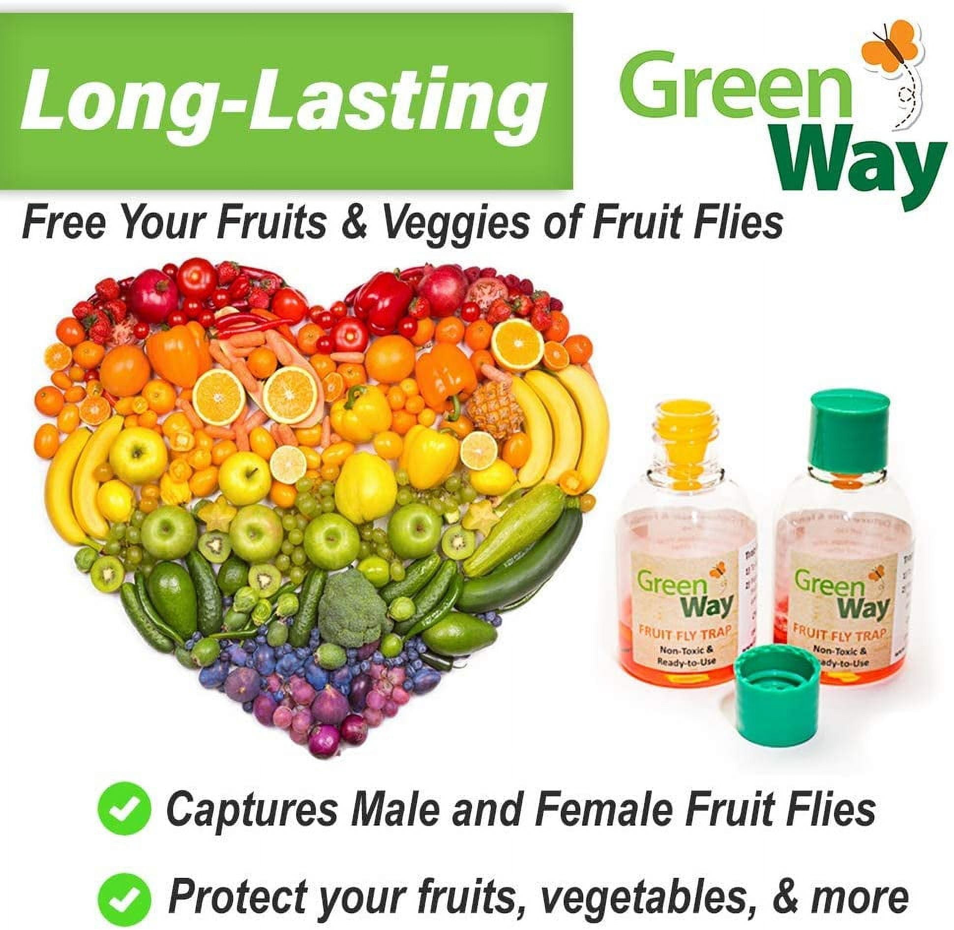 GreenWay Traps GW104 Fruit Fly Trap - Thumbnail 2