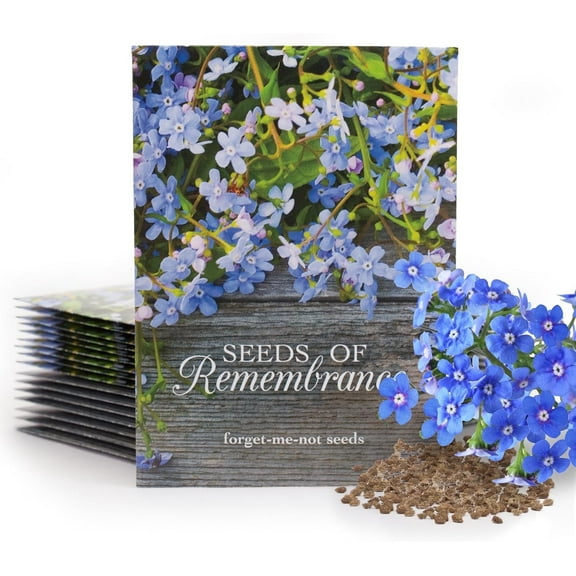 Bentley Seed Co. Seeds of Remembrance – 25 Packets of Non-GMO Forget-Me-Not Flower Seeds, Perfect for Memorial Services, Funerals, and Celebration of Life Favors