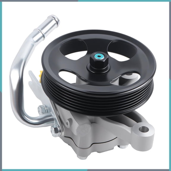 Power Steering Pump Fit For Kia Sedona 2006-2014 Hyundai Entourage 2007-2009 NEW