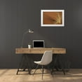 thumbnail image 3 of Young, Bill 14x11 White Modern Wood Framed Museum Art Print Titled - Tuft of grass in the Namib Desert, Namibia, 3 of 4