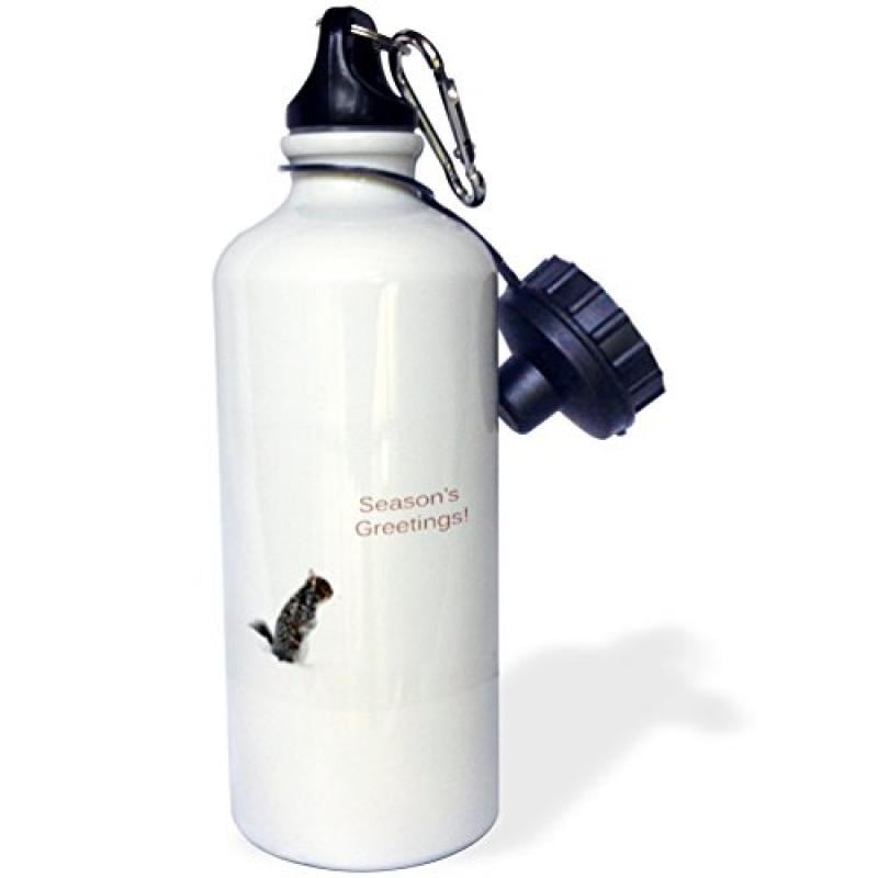 3dRose Little Squirrel on a Winters Day, Seasons Greetings, Sports Water Bottle, 21oz by Supplier Generic